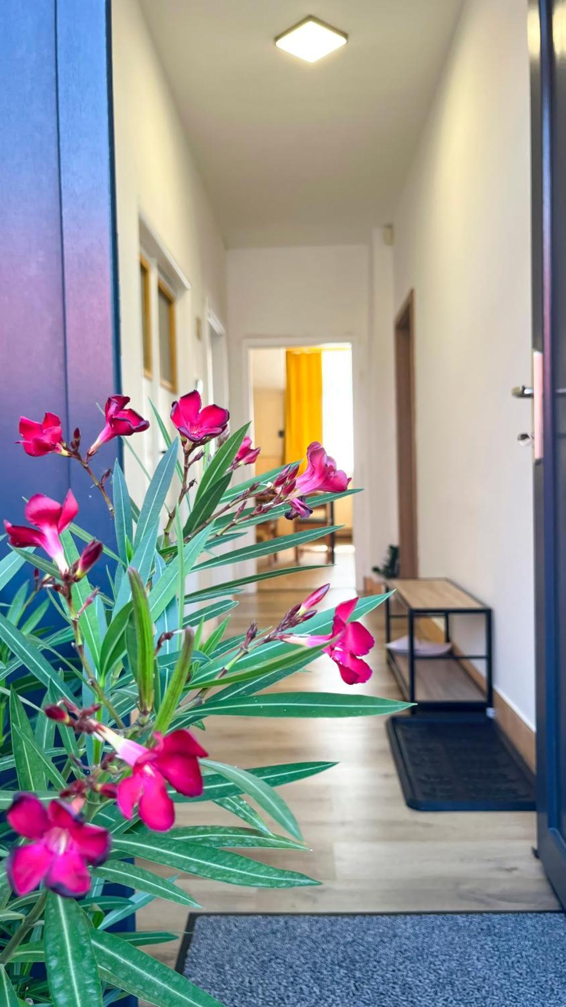 Apartmany Svrcinky Liptovský Mikuláš Exteriör bild